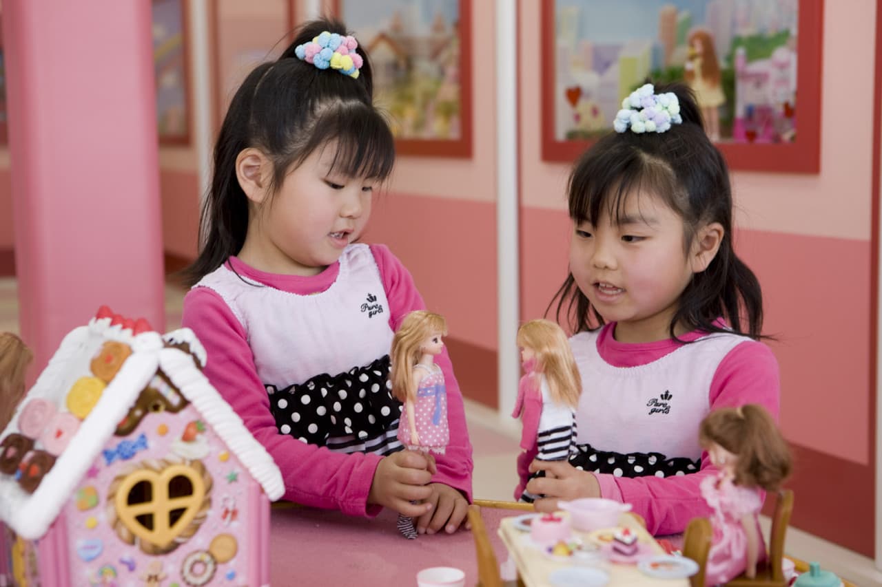 Minamichita Beach Land and Minamichita Toy Kingdom Ticket - image 4