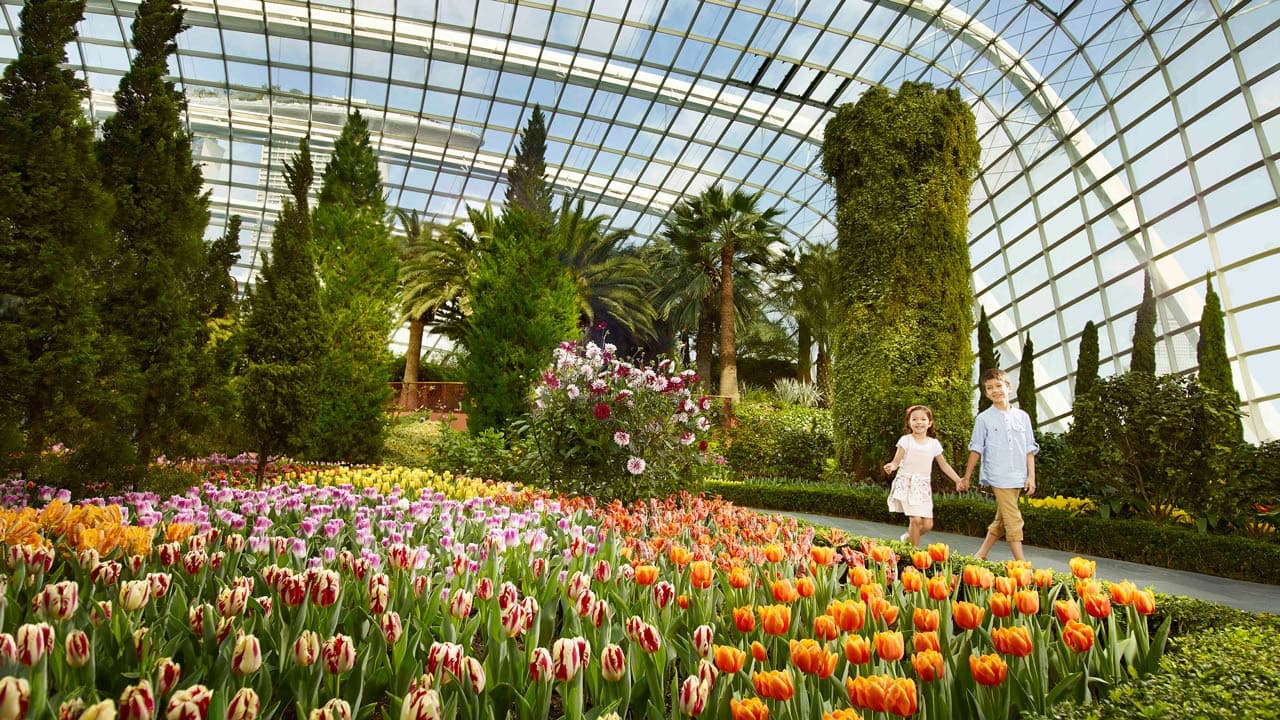 COMBO: Skyline Luge Singapore + Gardens by the Bay Ticket - image 11