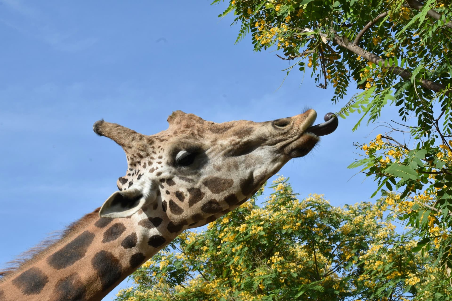 Terra Natura Murcia Ticket - image 4