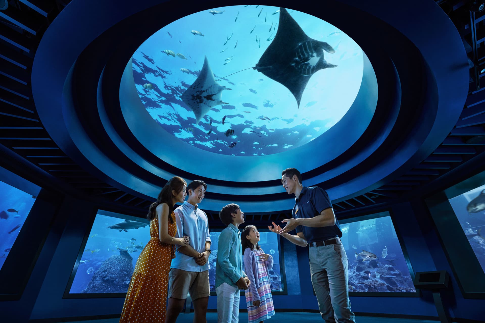 Singapore Oceanarium Ticket - image 7