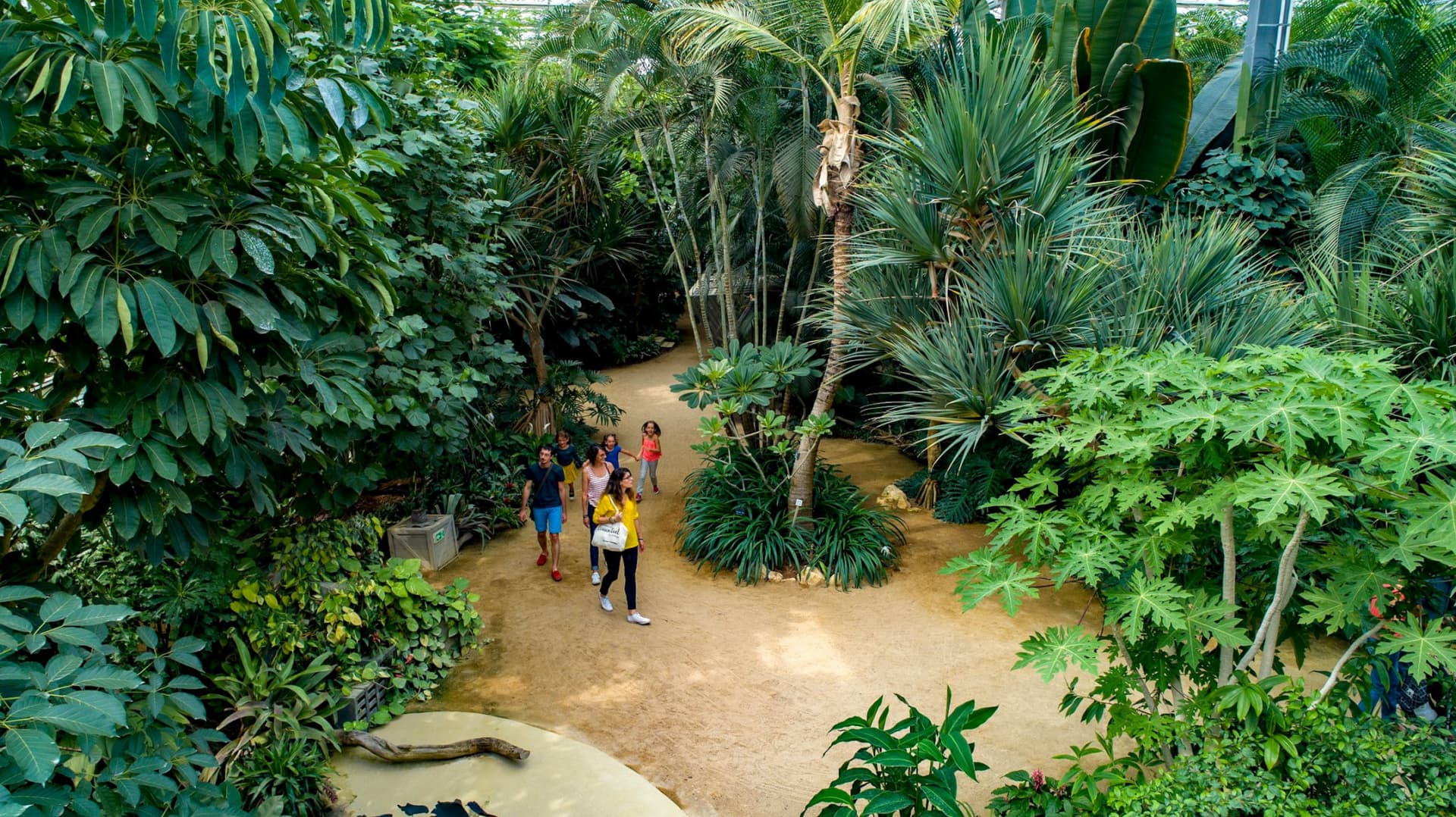Terra Botanica Ticket - image 12