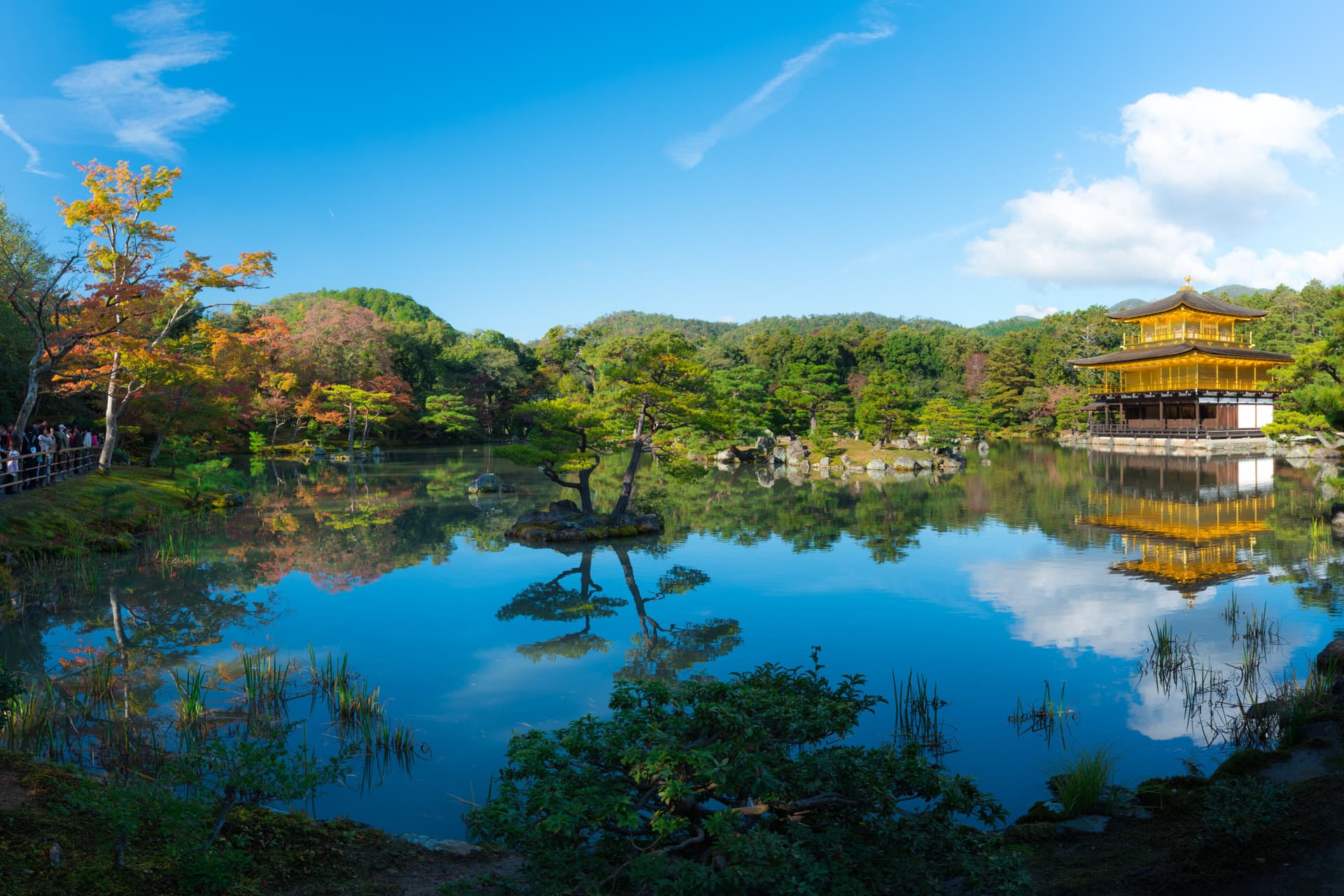 Kyoto and Nara Full-Day Tour from Kyoto - main image