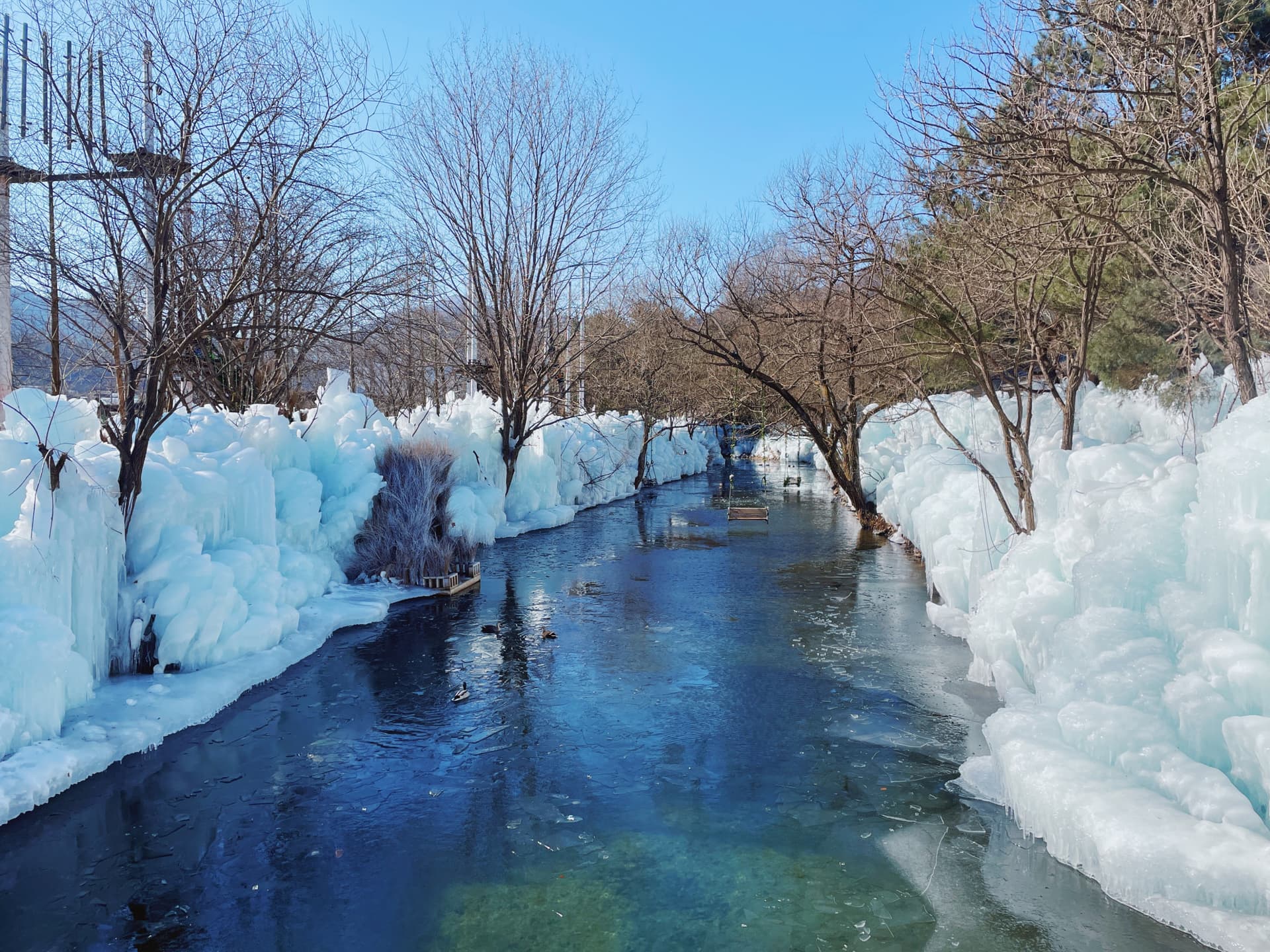 Gyeongju Kookmin Healing Park, Bulguksa, Woljeong Bridge, Gyochon Village Full-Day Tour from Busan - image 14